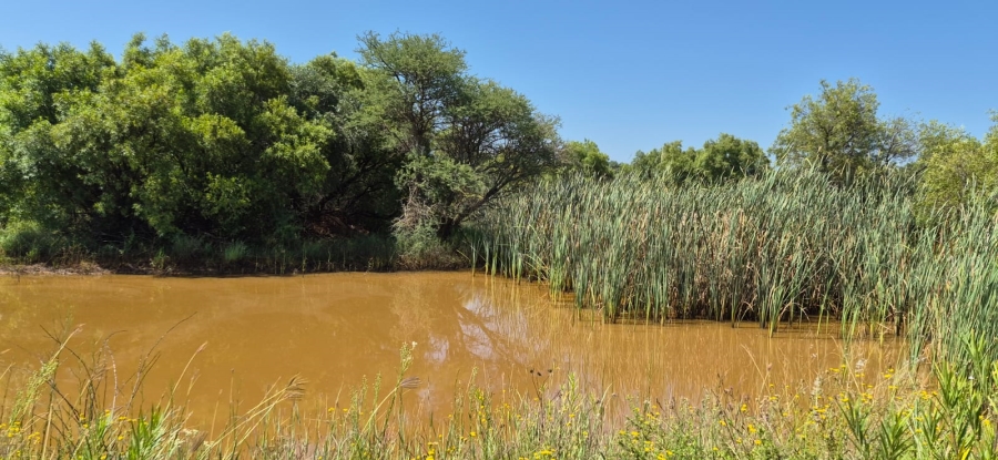 7 Bedroom Property for Sale in Groot Marico North West